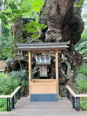 來宮神社(静岡県)