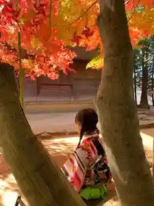 滑川神社 - 仕事と子どもの守り神(福島県)(2024年11月17日(日) 14時30分42秒投稿)