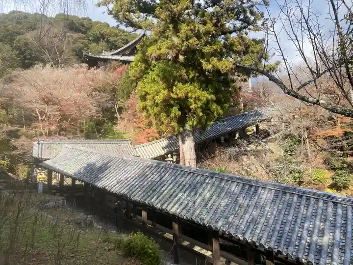 長谷寺(奈良県)
