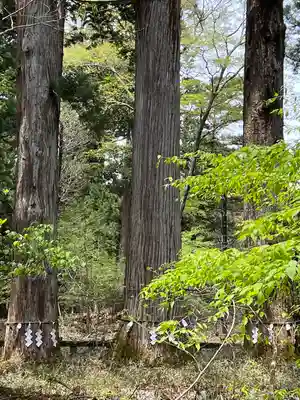 瀧尾神社（日光二荒山神社別宮）(栃木県)
