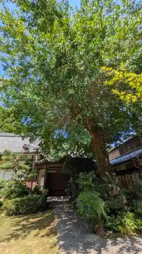 龍潭寺(京都府)