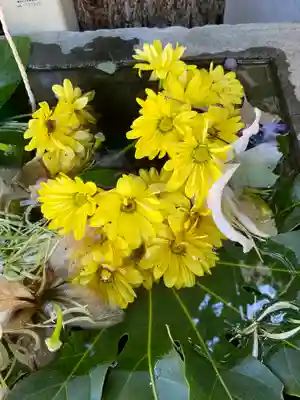 菊名神社の手水舎