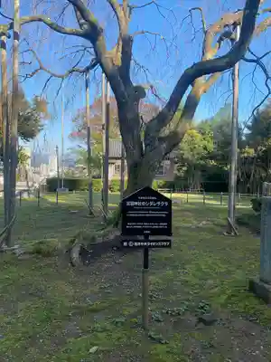 足羽神社(福井県)