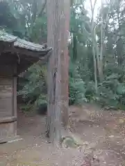 佐志能神社の建物その他