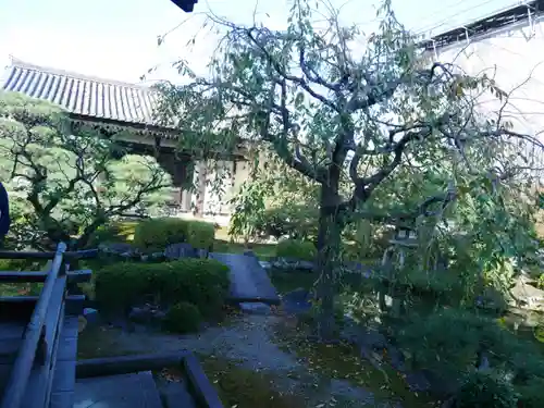 東寺（教王護国寺）の庭園