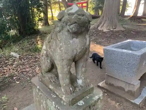 三嶋神社の狛犬