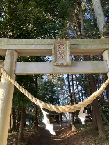 磐裂根裂神社の{uncategorized: "未分類", other: "その他", undefined: "問題あり", building: "その他建物", grave: "お墓", sacred_gate: "鳥居", guardian: "狛犬", statue: "像", buddha: "仏像", history: "歴史", nature: "自然", garden: "庭園", animal: "動物", pagoda: "塔", temizu: "手水舎", mountain_gate: "山門・神門", sanctuary: "本殿・本堂", subordinate: "末社・摂社", art: "芸術", scenery: "景色", jizo: "地蔵", ema: "絵馬", goshuin: "御朱印", omikuji: "おみくじ", items: "授与品その他", amulet: "お守り", goshuincho: "御朱印帳", eats: "食事", festival: "お祭り", votive_dance: "神楽", shichigosan: "七五三参", wedding: "結婚式", experience: "体験その他", initially: "初詣", around: "周辺", anti_infection: "感染症対策"}