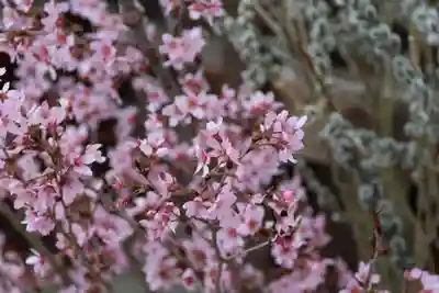 阿邪訶根神社の授与品その他