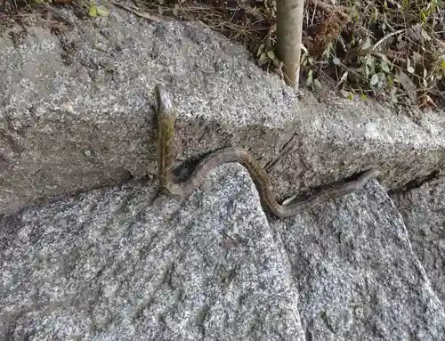 折石神社(宮城県)