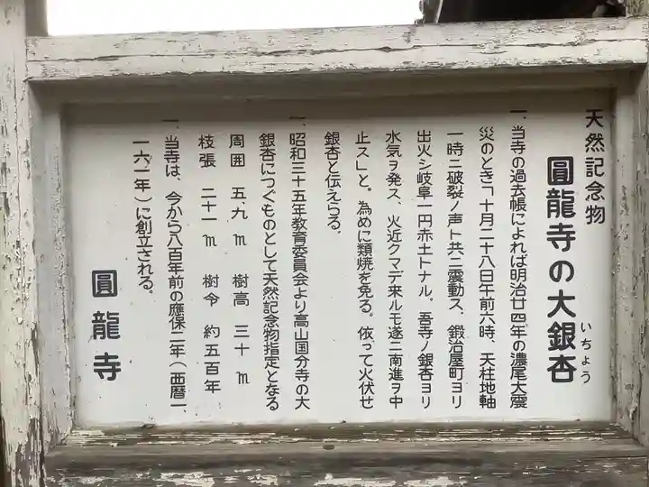 圓竜寺の御朱印