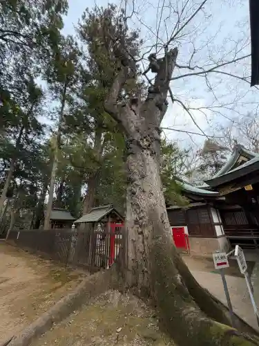 一言主神社の{uncategorized: "未分類", other: "その他", undefined: "問題あり", building: "その他建物", grave: "お墓", sacred_gate: "鳥居", guardian: "狛犬", statue: "像", buddha: "仏像", history: "歴史", nature: "自然", garden: "庭園", animal: "動物", pagoda: "塔", temizu: "手水舎", mountain_gate: "山門・神門", sanctuary: "本殿・本堂", subordinate: "末社・摂社", art: "芸術", scenery: "景色", jizo: "地蔵", ema: "絵馬", goshuin: "御朱印", omikuji: "おみくじ", items: "授与品その他", amulet: "お守り", goshuincho: "御朱印帳", eats: "食事", festival: "お祭り", votive_dance: "神楽", shichigosan: "七五三参", wedding: "結婚式", experience: "体験その他", initially: "初詣", around: "周辺", anti_infection: "感染症対策"}