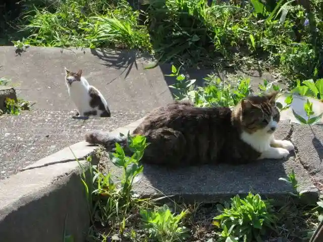 熊野若王子神社(京都府)
