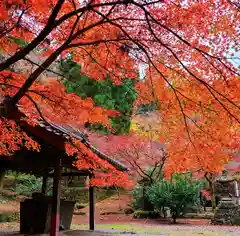 大洞院の自然