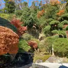 報国寺の庭園