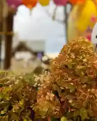 札幌諏訪神社の手水