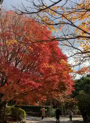 龍安寺(京都府)