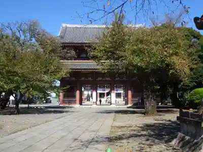 池上本門寺の山門・神門