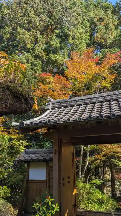 神藏寺(京都府)