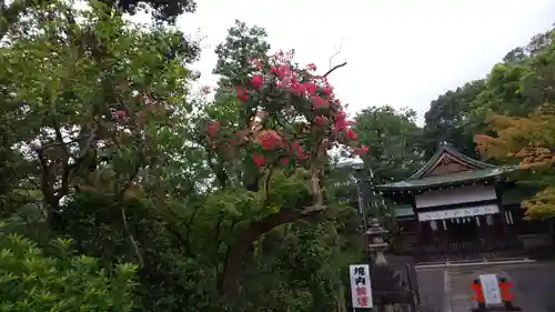 賀茂波爾神社（賀茂御祖神社境外摂社）のその他建物