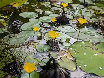 岩井八坂神社(茨城県)