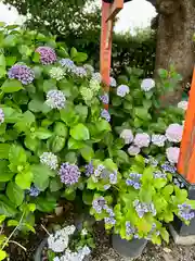 源九郎稲荷神社(奈良県)