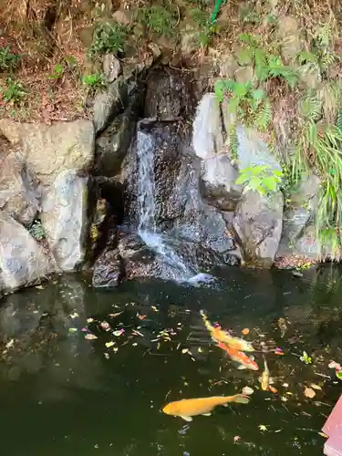 西光寺(神奈川県)