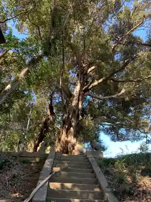 白山神社のその他建物