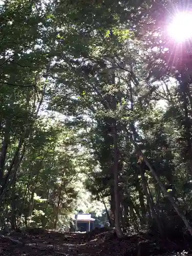 倉澤神社の建物その他