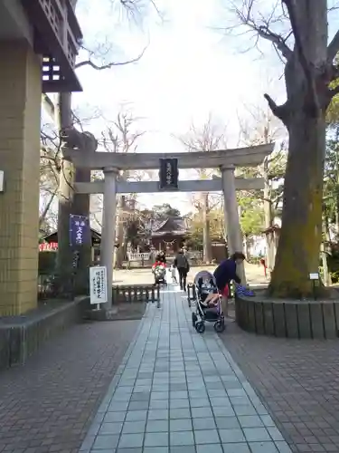 亀岡八幡宮（亀岡八幡神社）の鳥居