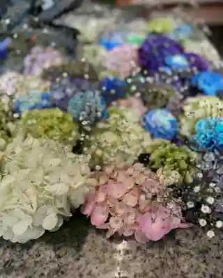 札幌諏訪神社の手水舎