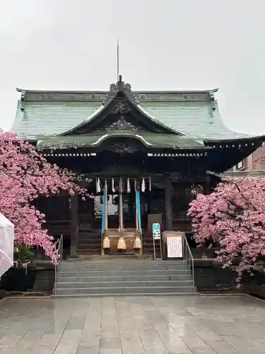 桜神宮(東京都)