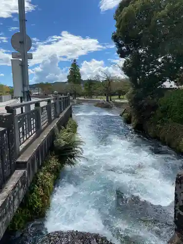 富士山本宮浅間大社(静岡県)