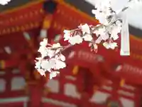 近江神宮のその他建物