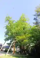 上日寺のその他建物