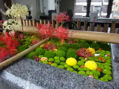 高円寺氷川神社の手水舎