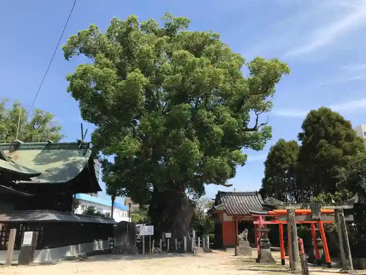 與賀神社(佐賀県)