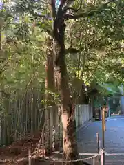 岡森神社(愛媛県)