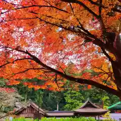 小國神社の自然