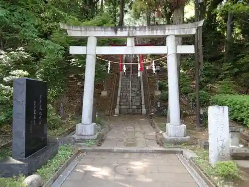 茅ヶ崎杉山神社の鳥居