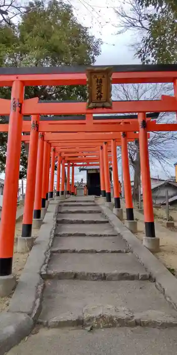 渋川神社の鳥居