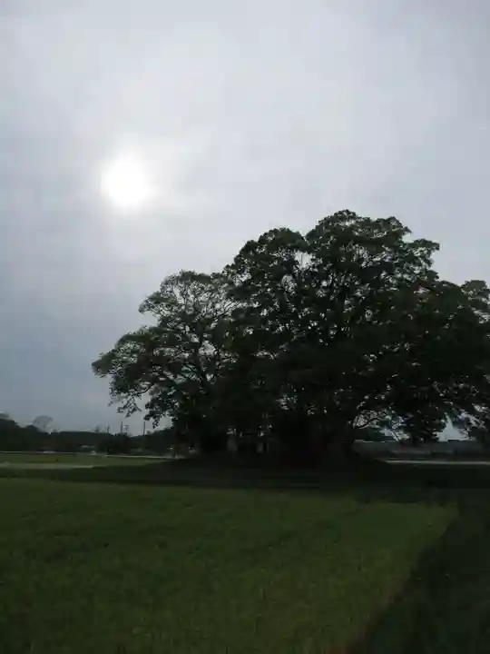 神明神社(千葉県)
