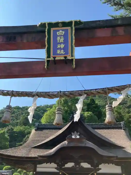 白鬚神社(滋賀県)