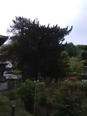 建長寺(神奈川県)