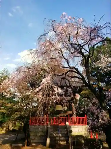 龍光寺(東京都)