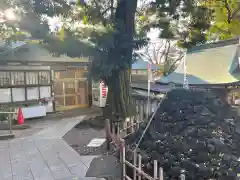 北澤八幡神社の建物その他