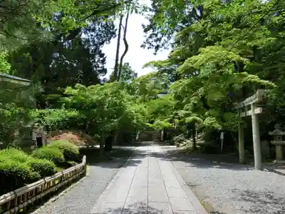 光明寺（粟生光明寺）(京都府)