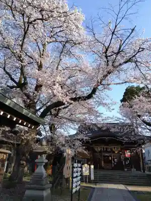  湊八幡神社(福井県)