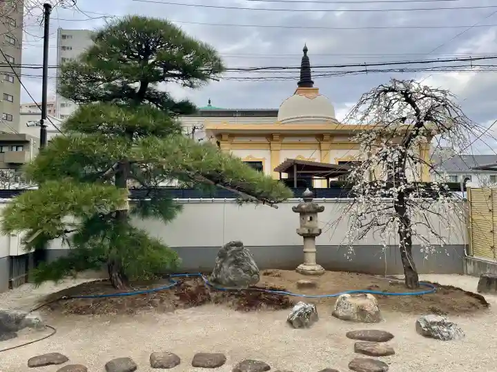 専西寺の{uncategorized: "未分類", other: "その他", undefined: "問題あり", building: "その他建物", grave: "お墓", sacred_gate: "鳥居", guardian: "狛犬", statue: "像", buddha: "仏像", history: "歴史", nature: "自然", garden: "庭園", animal: "動物", pagoda: "塔", temizu: "手水舎", mountain_gate: "山門・神門", sanctuary: "本殿・本堂", subordinate: "末社・摂社", art: "芸術", scenery: "景色", jizo: "地蔵", ema: "絵馬", goshuin: "御朱印", omikuji: "おみくじ", items: "授与品その他", amulet: "お守り", goshuincho: "御朱印帳", eats: "食事", festival: "お祭り", votive_dance: "神楽", shichigosan: "七五三参", wedding: "結婚式", experience: "体験その他", initially: "初詣", around: "周辺", anti_infection: "感染症対策"}