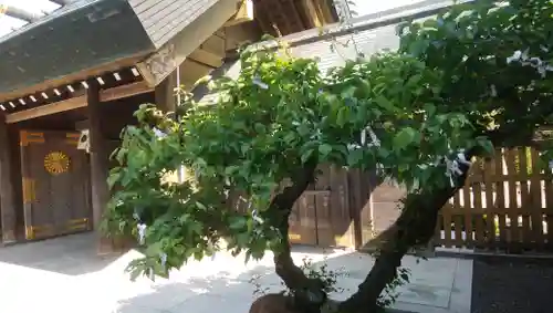 刈田神社の自然