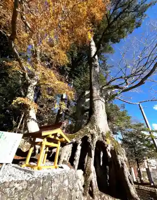 富士山東口本宮 冨士浅間神社(静岡県)